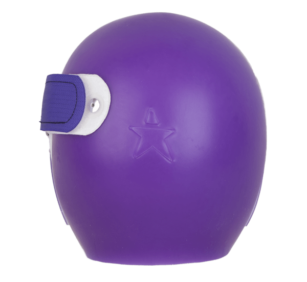 purple-7370-C-600x552