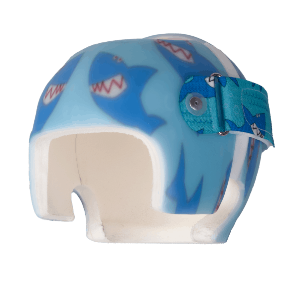 sharks-7390-C-600x565